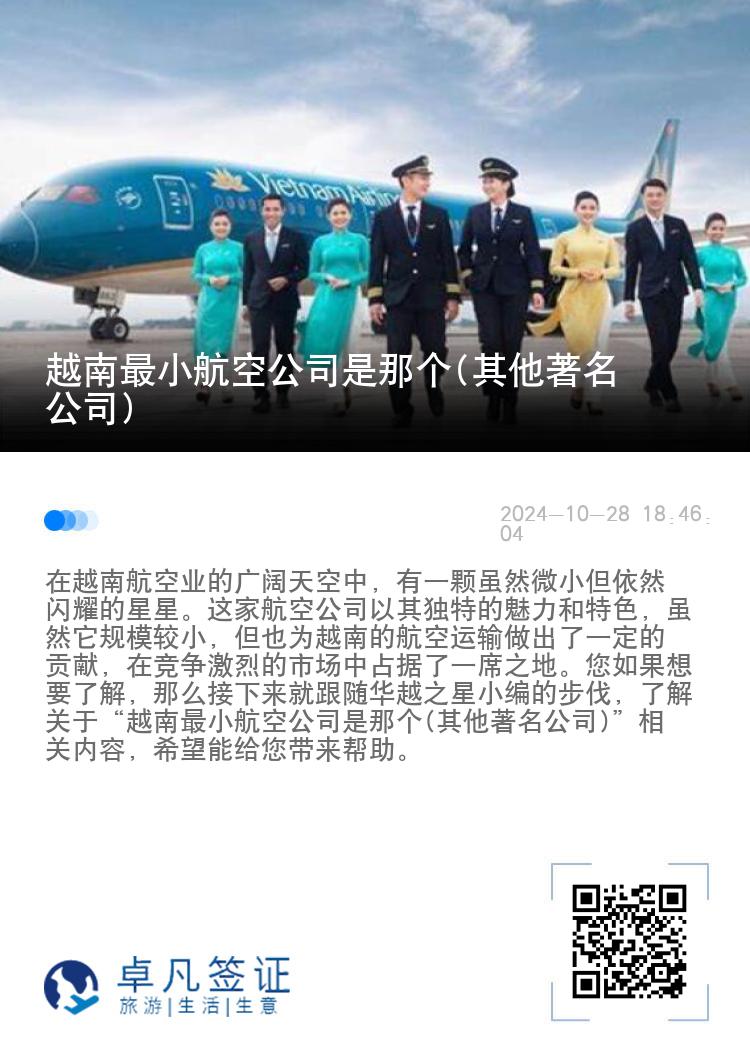 越南最小航空公司是那个(其他著名公司)