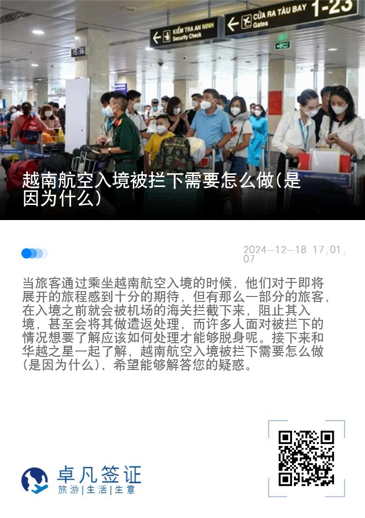 越南航空入境被拦下需要怎么做(是因为什么)