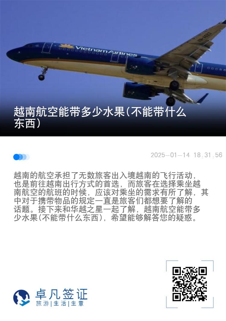 越南航空能带多少水果(不能带什么东西)